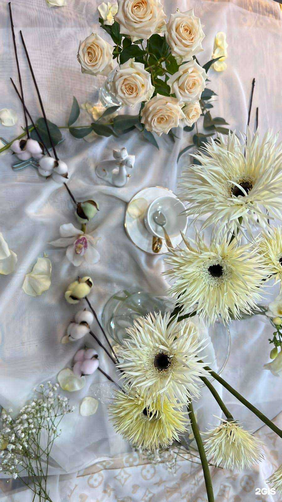 Отзывы на компанию Роза заноза в г. Армавир c фото