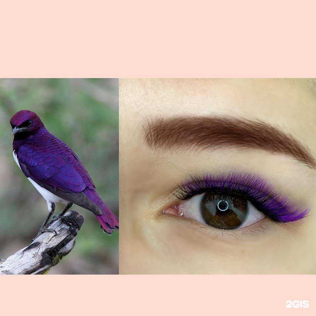 Отзывы на компанию Мариш в Новосибирске c фото