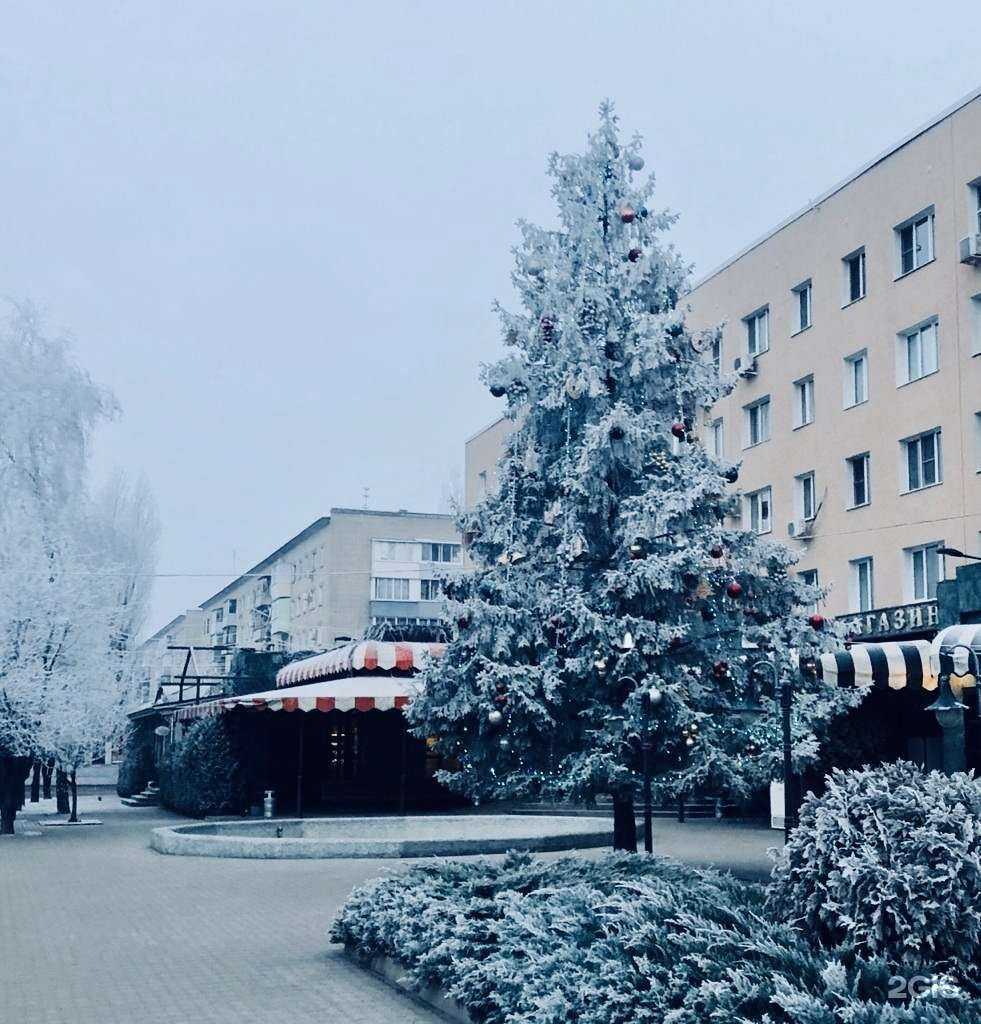 Отзывы на компанию Курский в Воронеже c фото - фотография 2 из 2