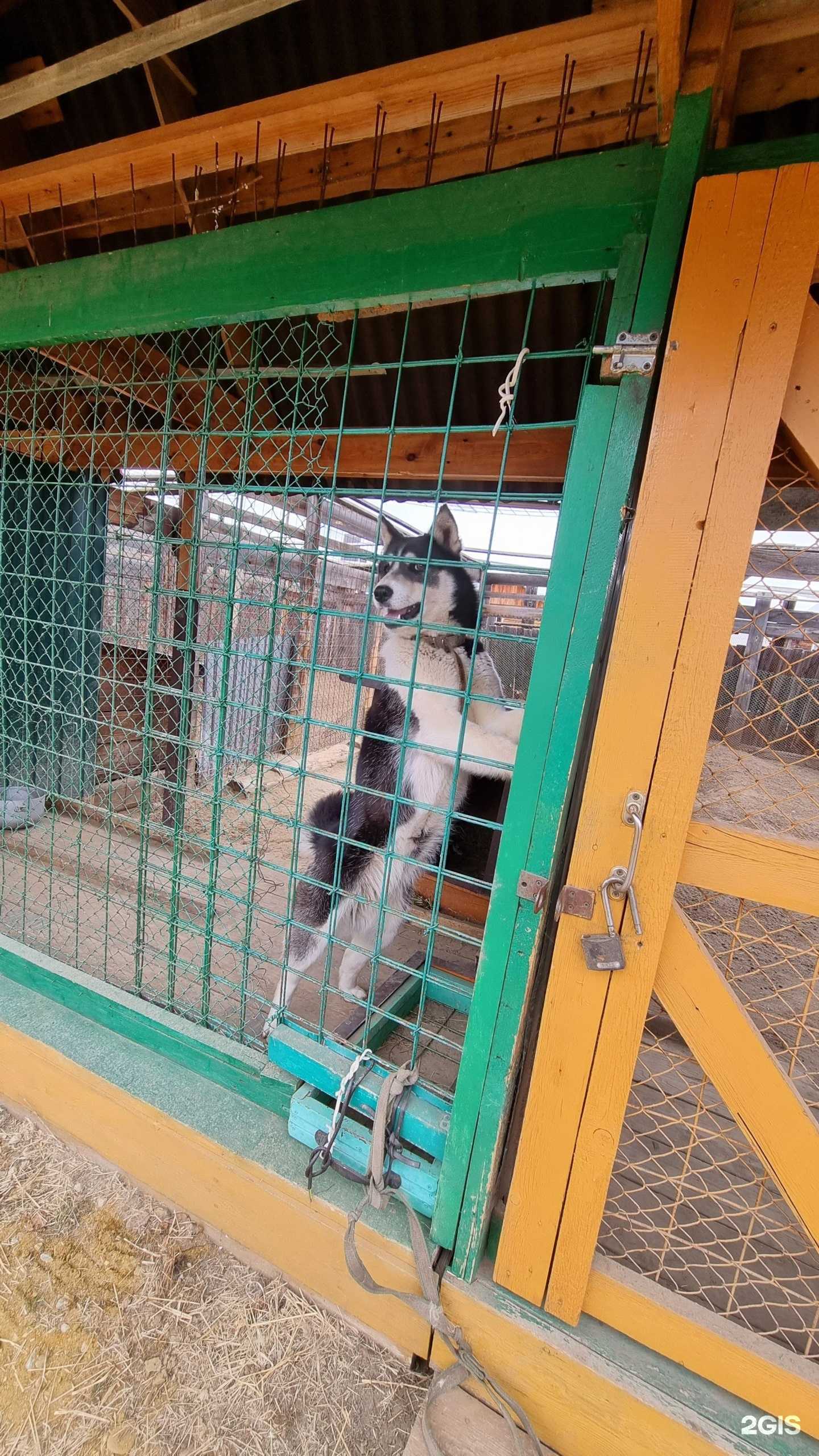 Отзывы на компанию В гостях у Паши в Якутске c фото