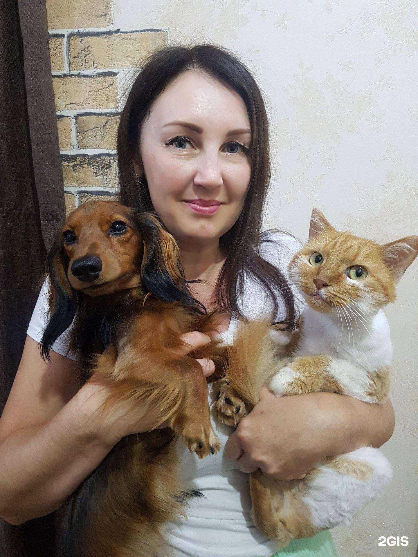 Отзывы на компанию Мадагаскар в г. Сочи c фото