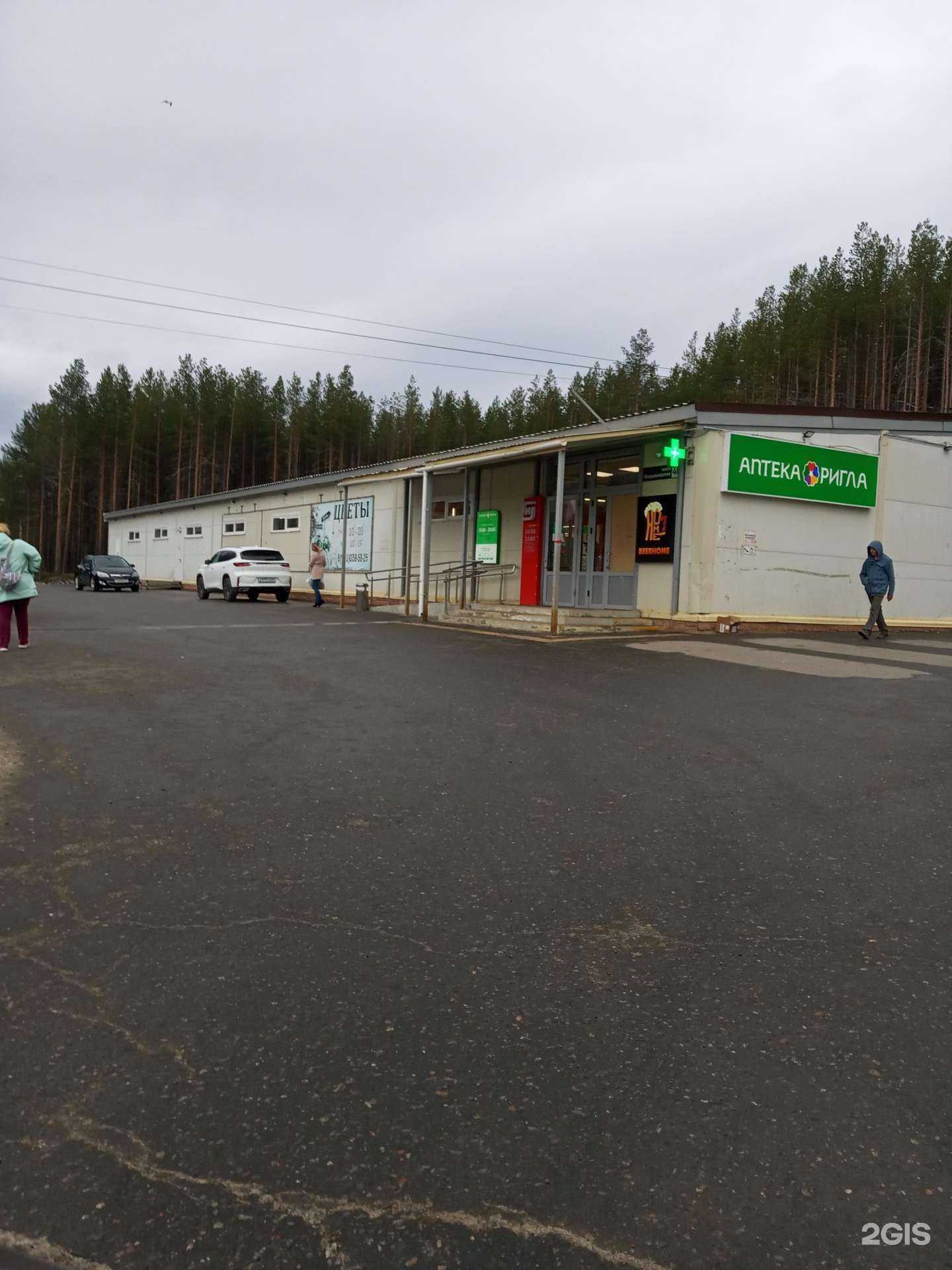 Отзывы на компанию Флора в Кандалакше c фото - фотография 2 из 2