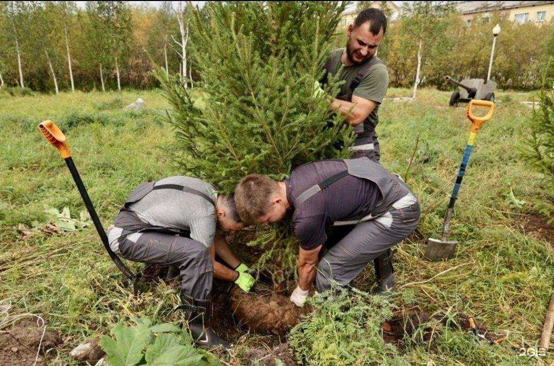 Отзывы на компанию Сыктывкарский государственный университет им. Питирима Сорокина в г. Сыктывкар c фото