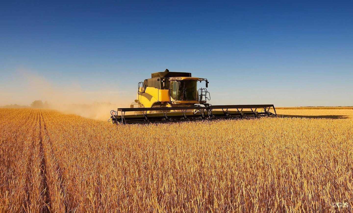 Отзывы на компанию Сателлит в г. Старый Оскол c фото