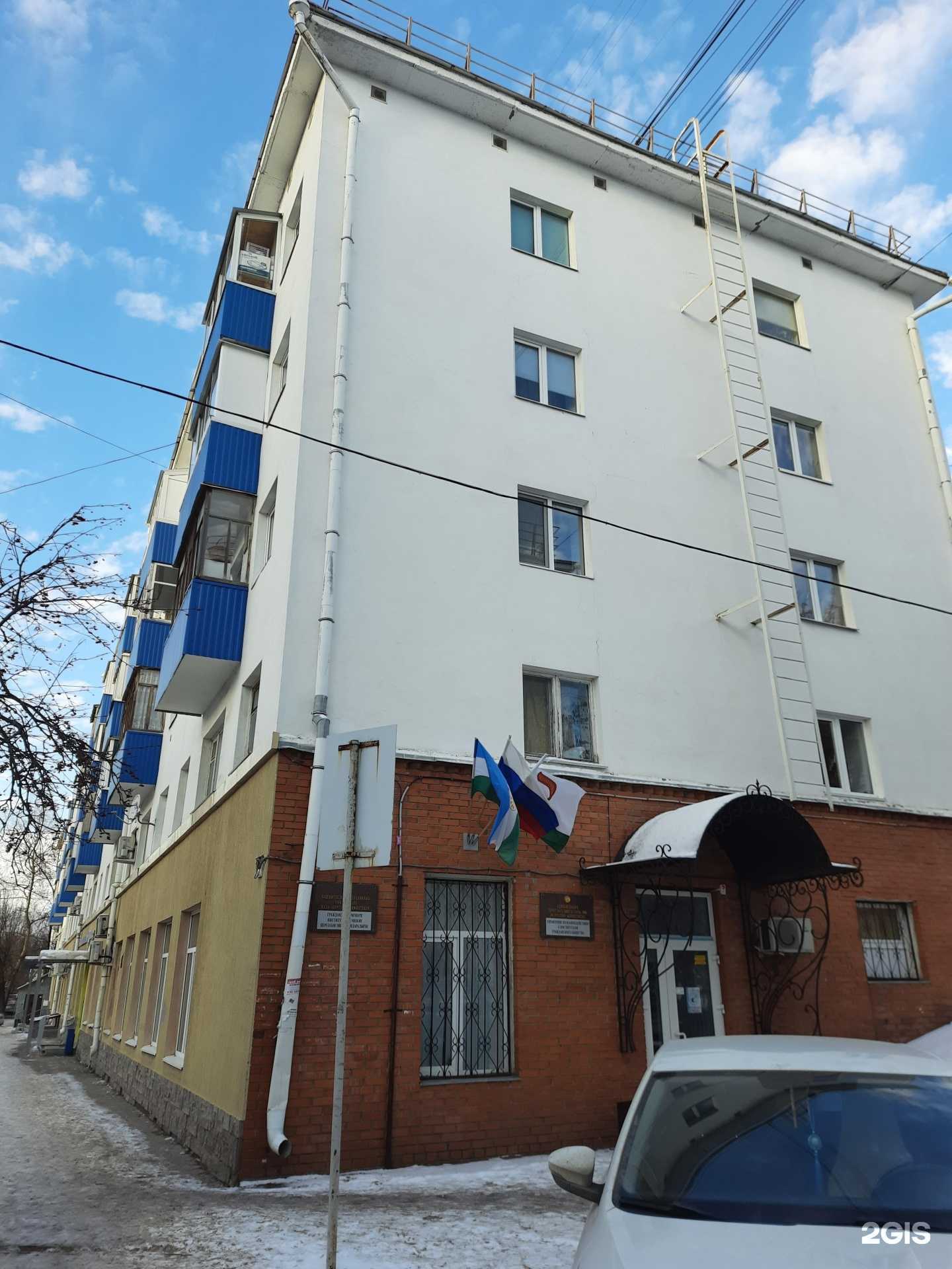 Отзывы на компанию Рыжий пес в Уфе c фото - фотография 2 из 2