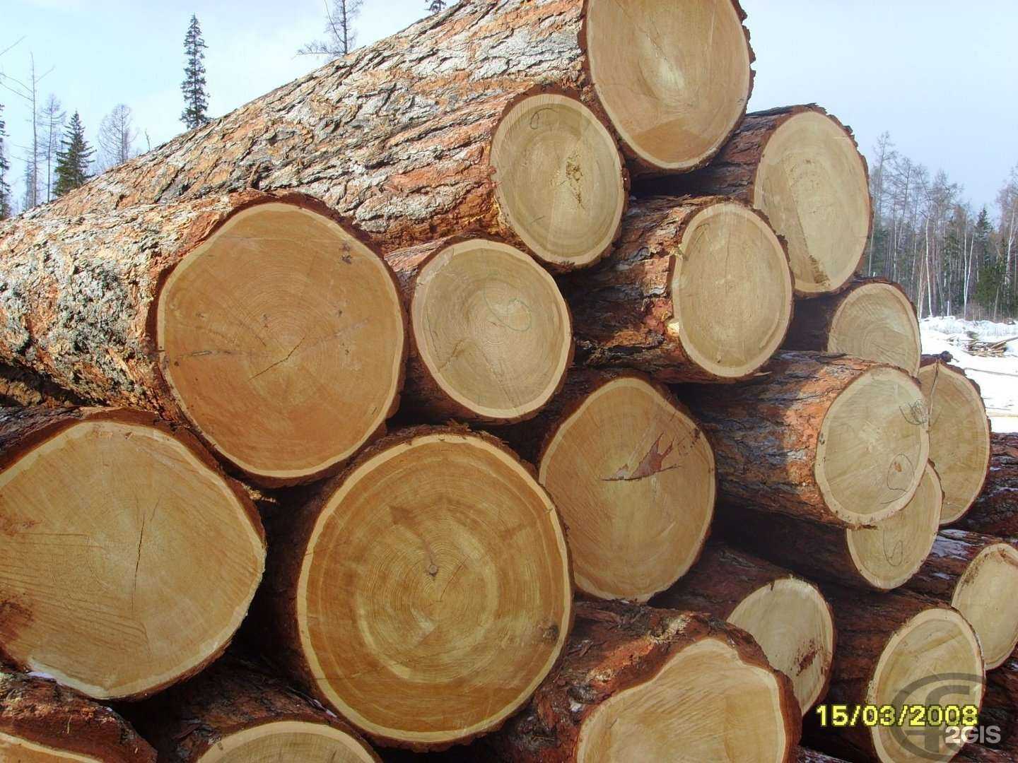 Отзывы на компанию Лестрансторг в Южно-Сахалинске c фото