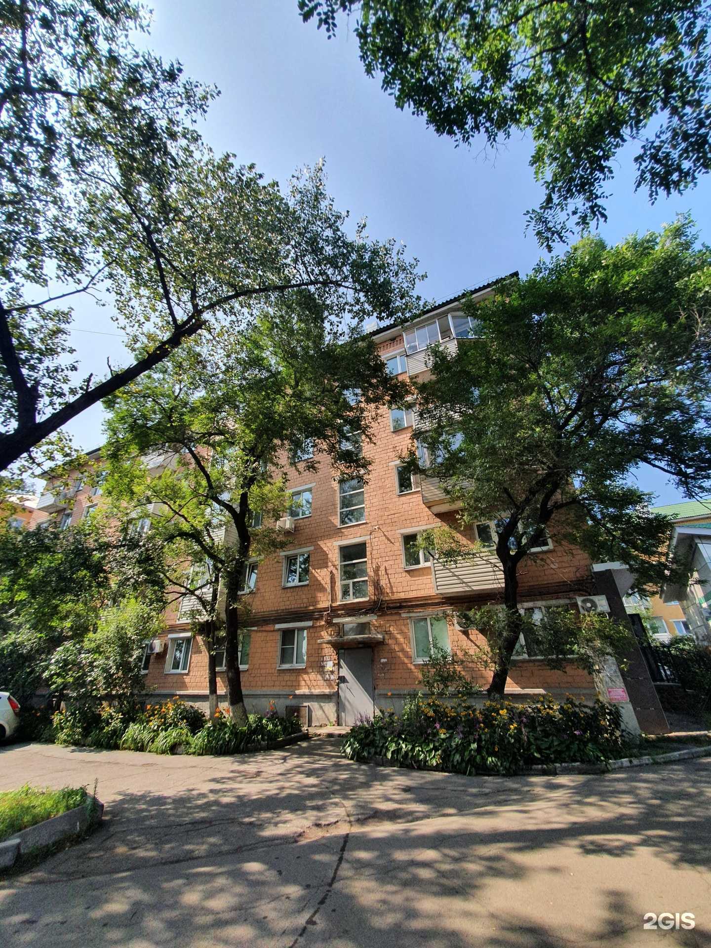 Отзывы на компанию My vishnya в Владивостоке c фото - фотография 2 из 2