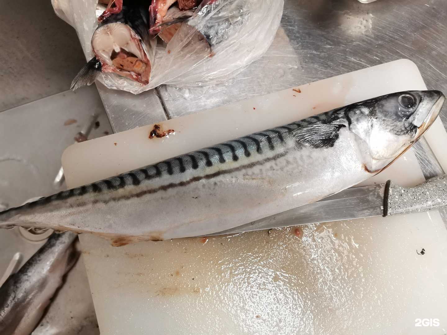 Отзывы на компанию Рыба`am в г. Новосибирск c фото