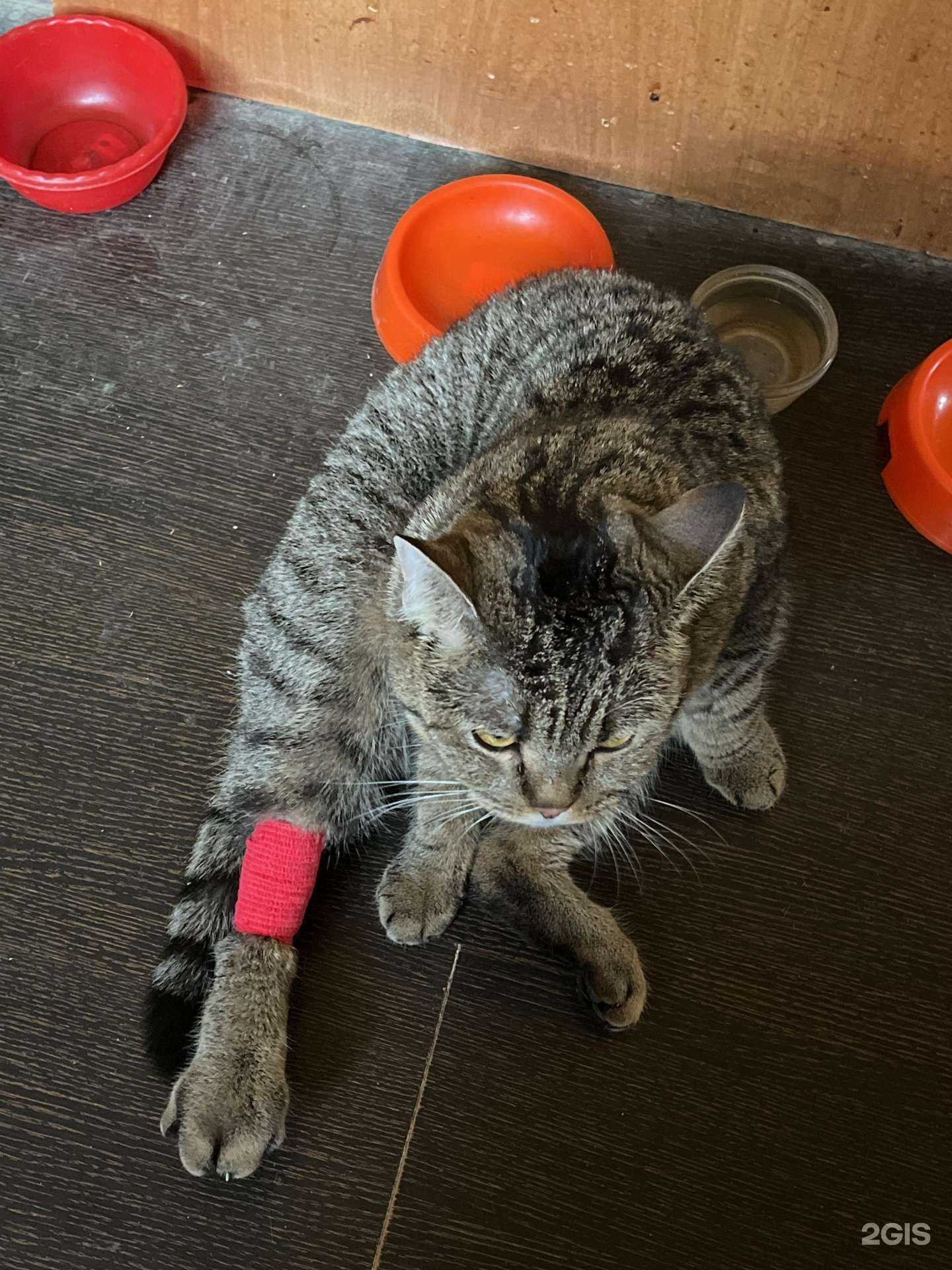 Отзывы на компанию Ковчег в г. Пенза c фото