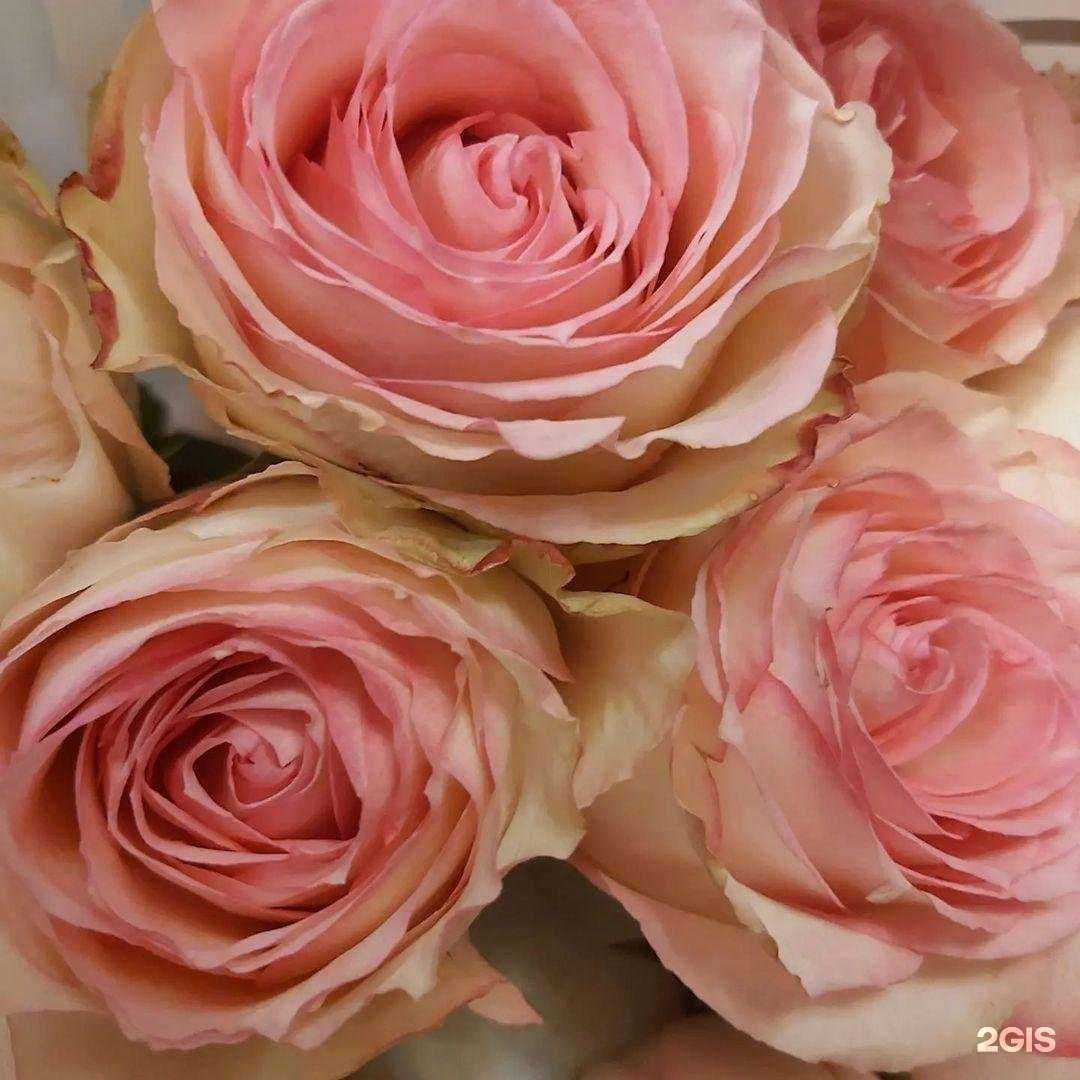 Отзывы на компанию Flowers and Presents в Тюмени c фото