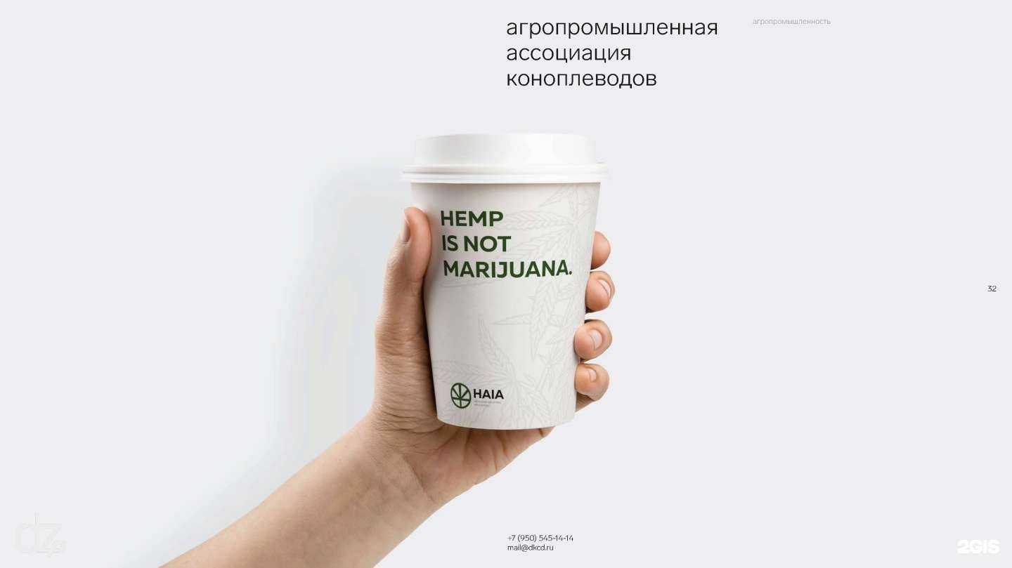 Отзывы на компанию Deez.studio в Екатеринбурге c фото