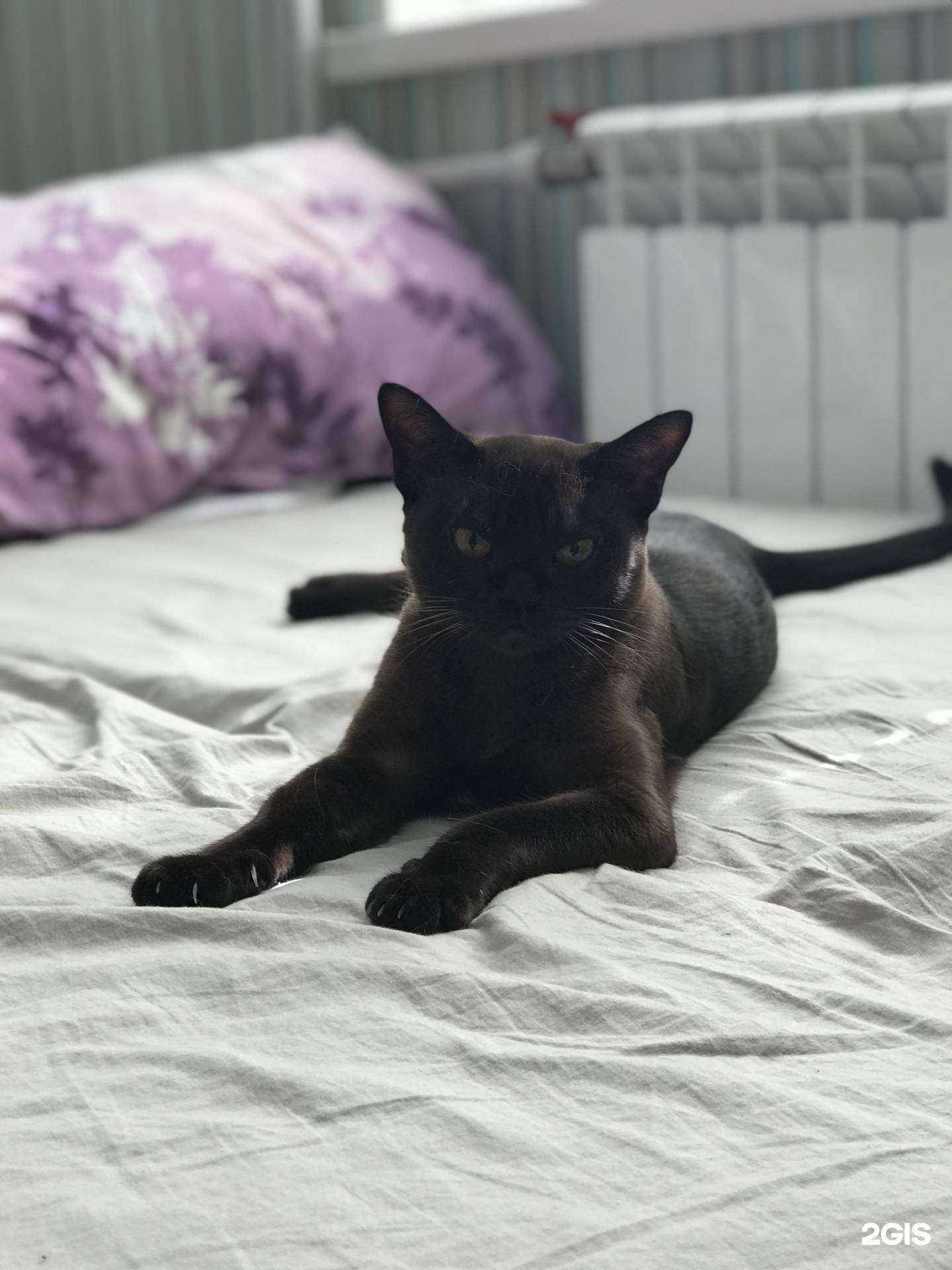 Отзывы на компанию ЖИВАЯ ПЛАНЕТА в Нижнем Новгороде c фото