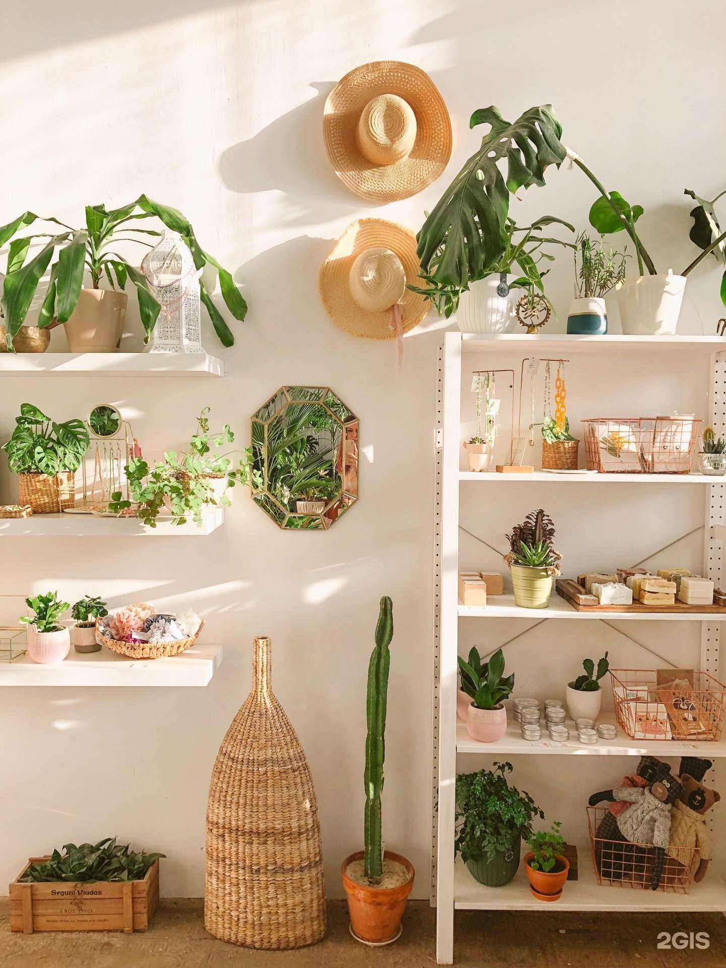 Отзывы на компанию Ботаническая мастерская в г. Киров c фото