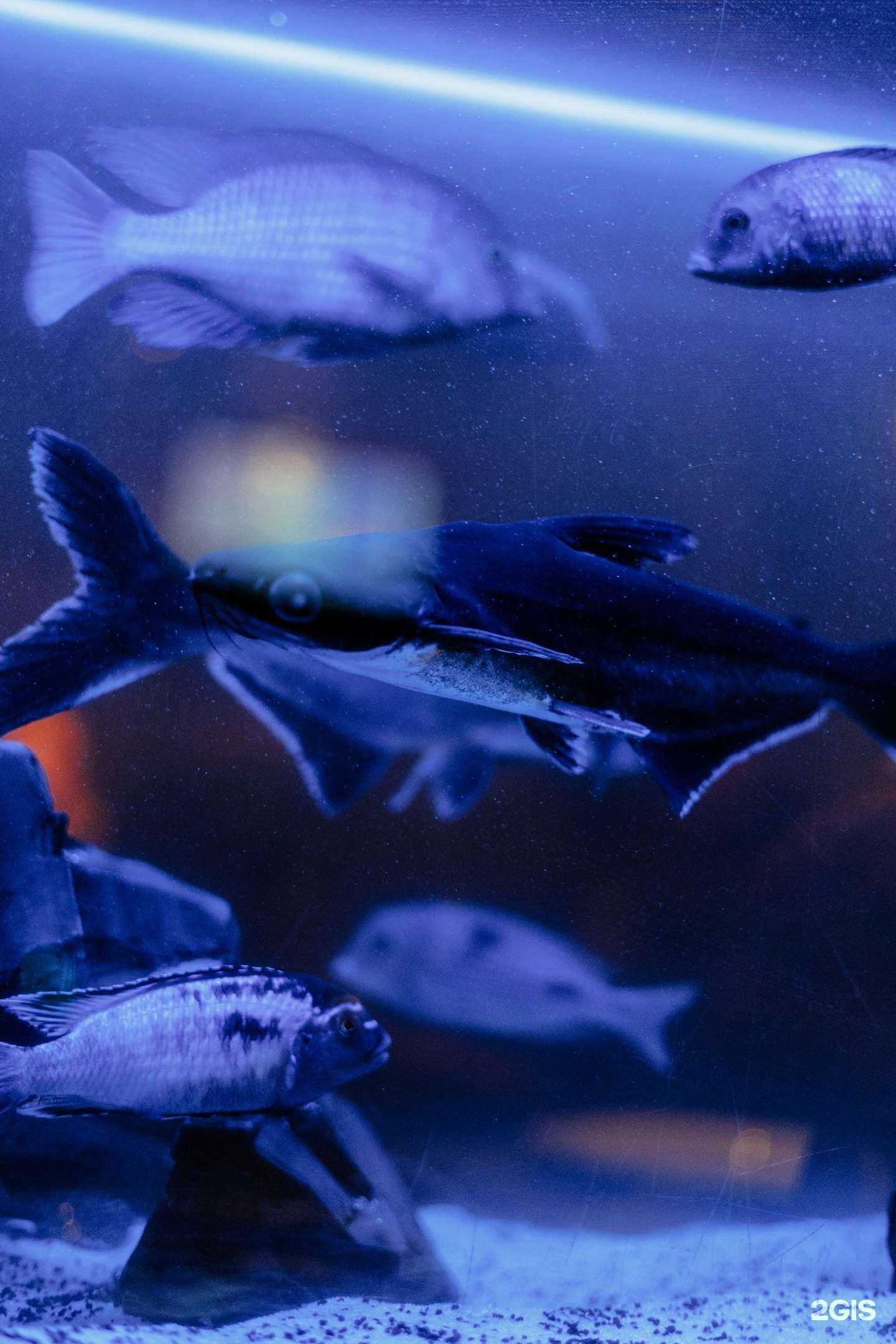 Отзывы на компанию 1st Gallery lounge в Казани c фото