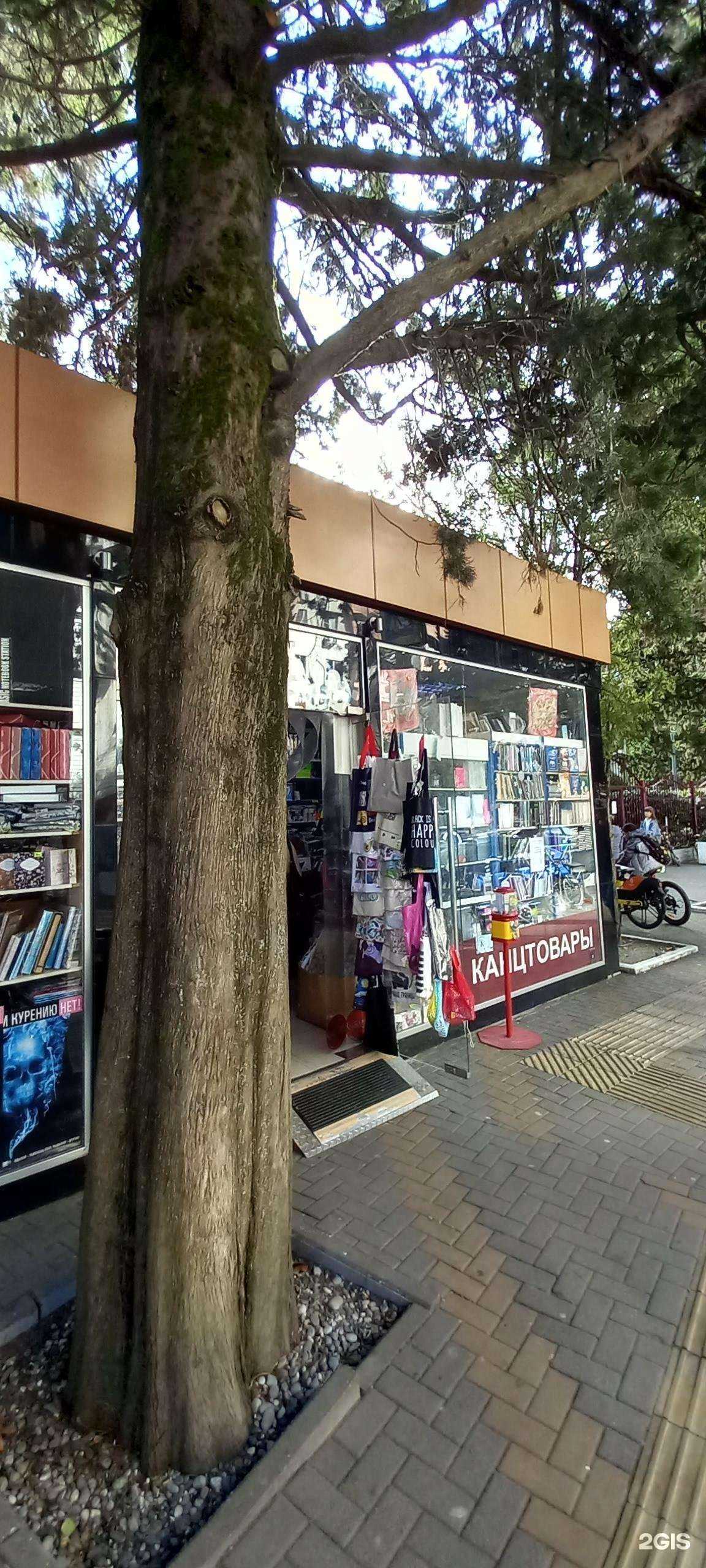 Отзывы на компанию Магазин женской одежды в Сочи c фото - фотография 2 из 2