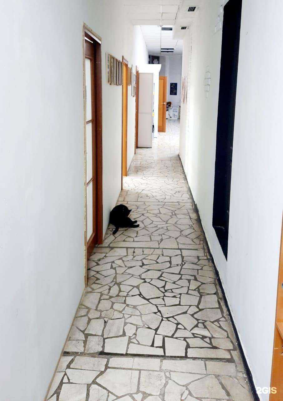 Отзывы на компанию Юна в г. Набережные Челны c фото