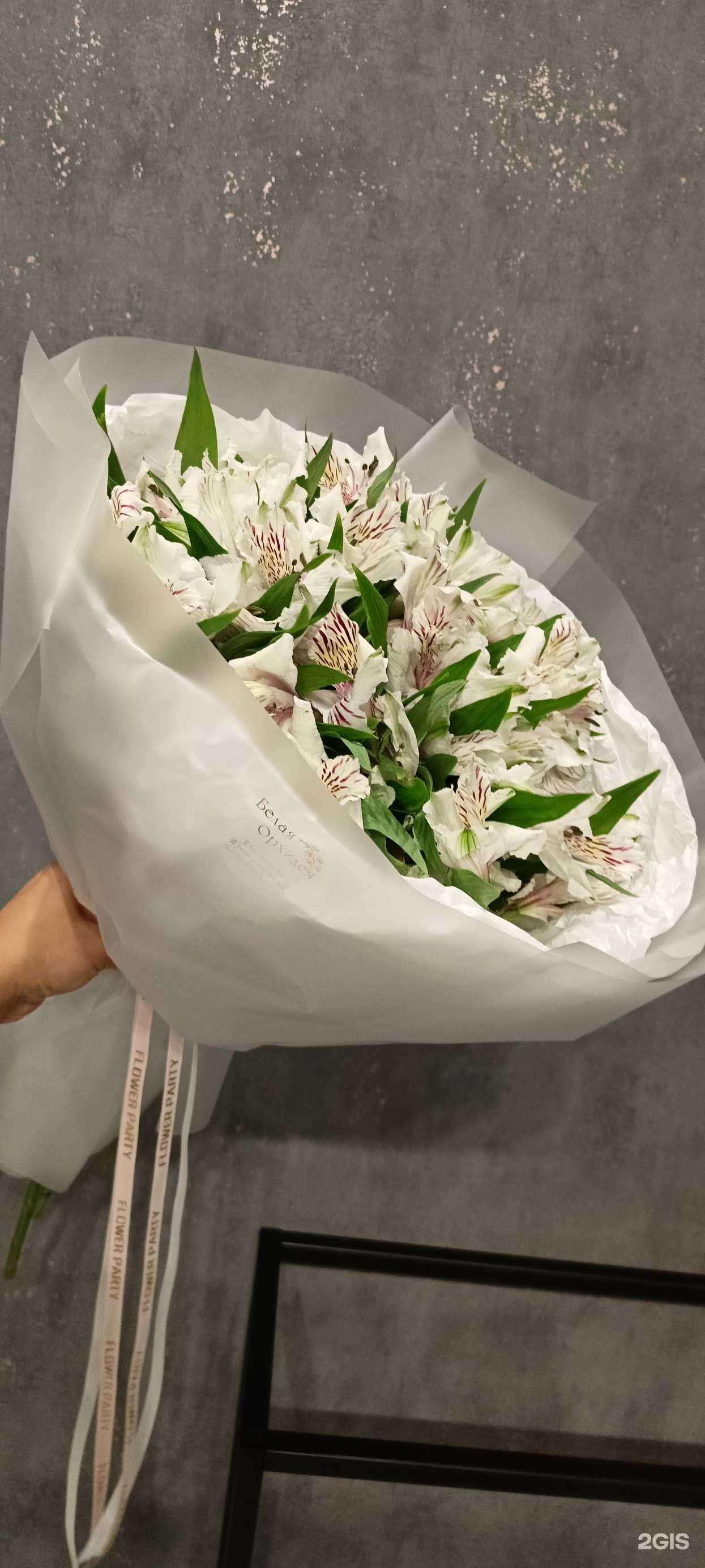 Отзывы на компанию Белая Орхидея в Чебоксарах c фото