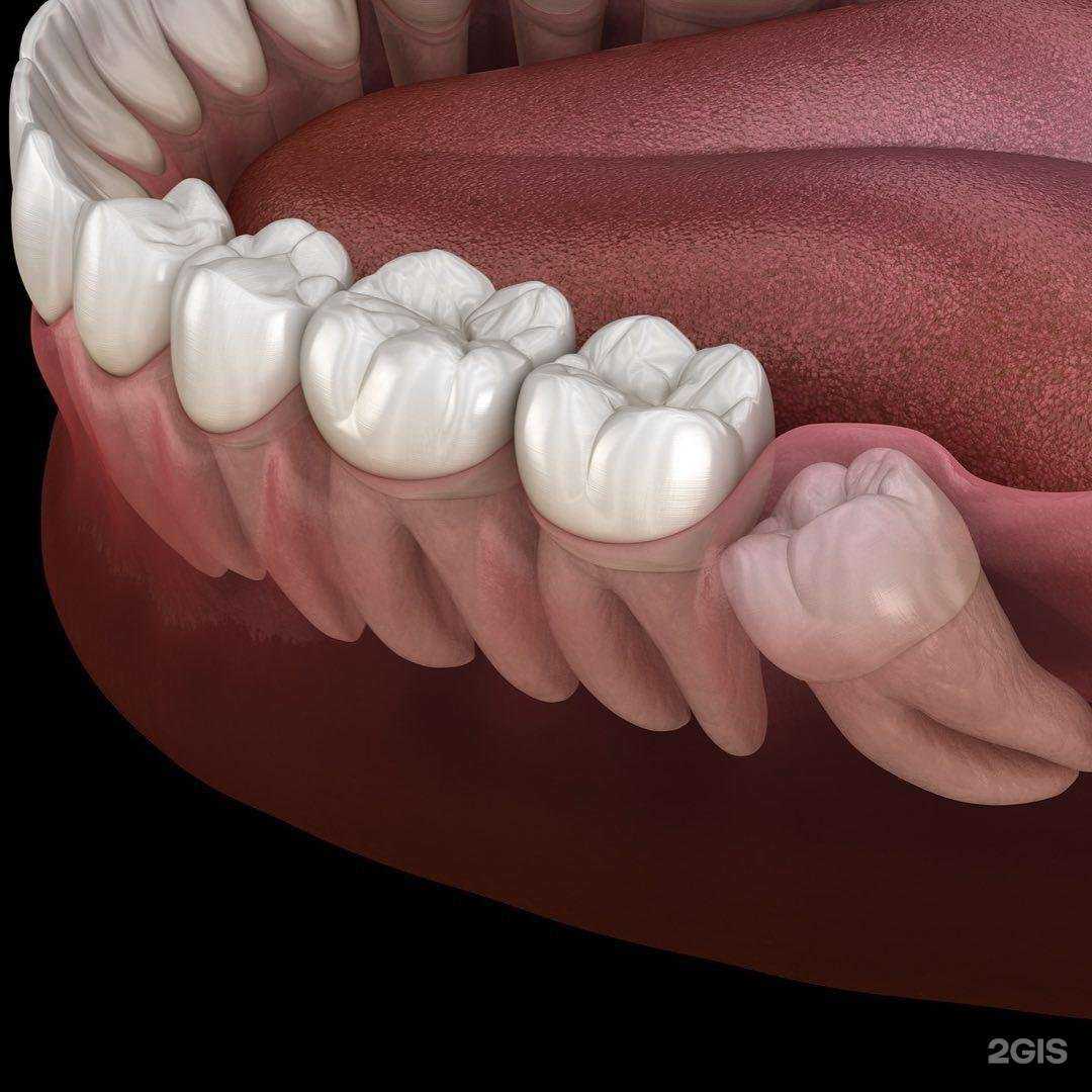 Отзывы на компанию Risus в г. Анапа c фото