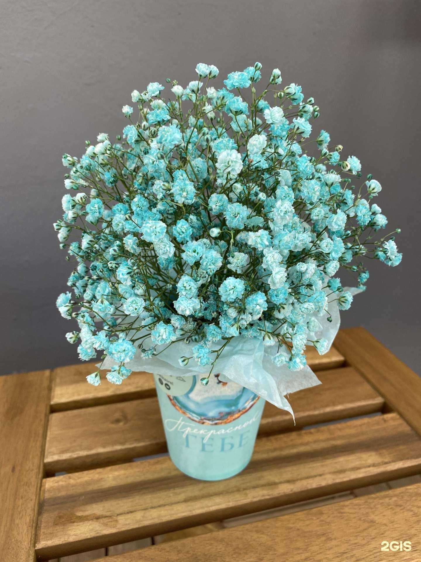 Отзывы на компанию Лейка в Орле c фото