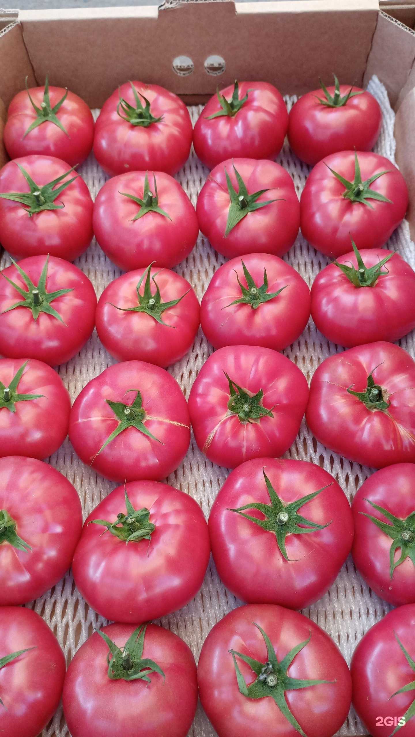 Отзывы на компанию Куротобхана №1 в Казани c фото