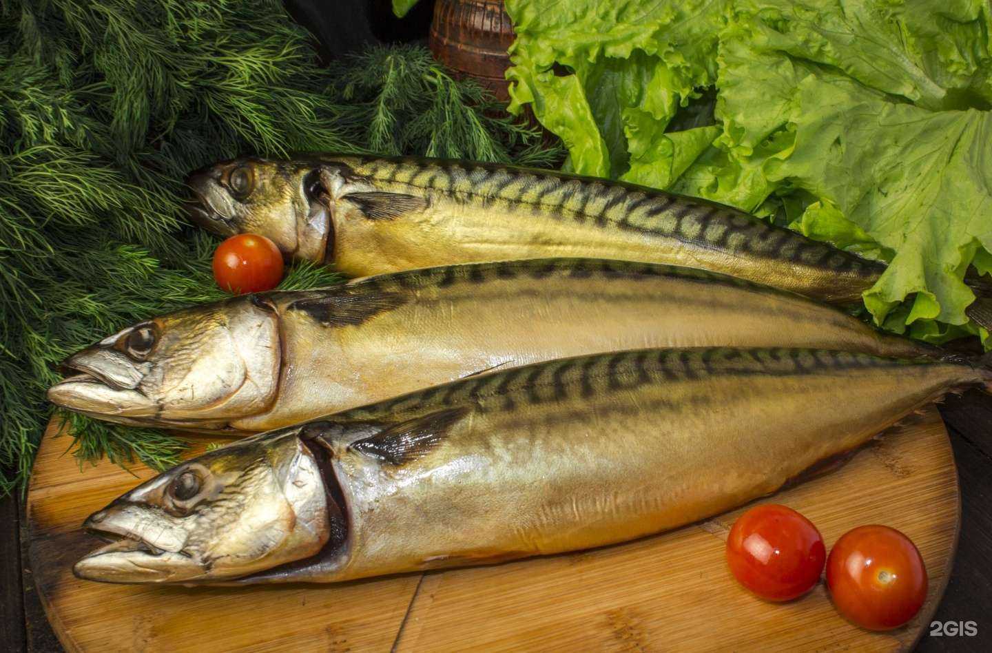 Отзывы на компанию Царская рыбка в г. Магнитогорск c фото