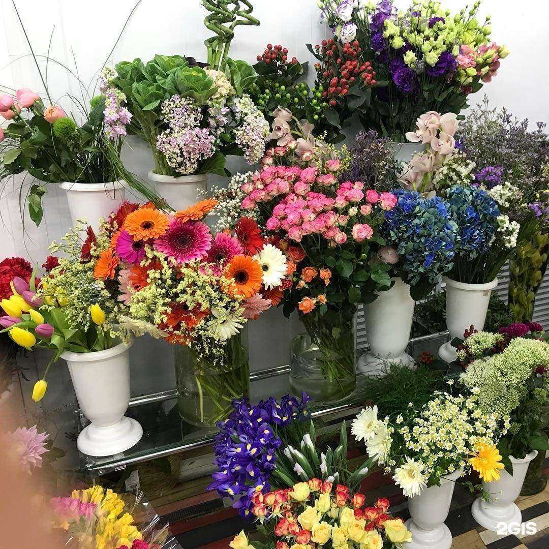 Отзывы на компанию Цветторг68 в г. Тамбов c фото