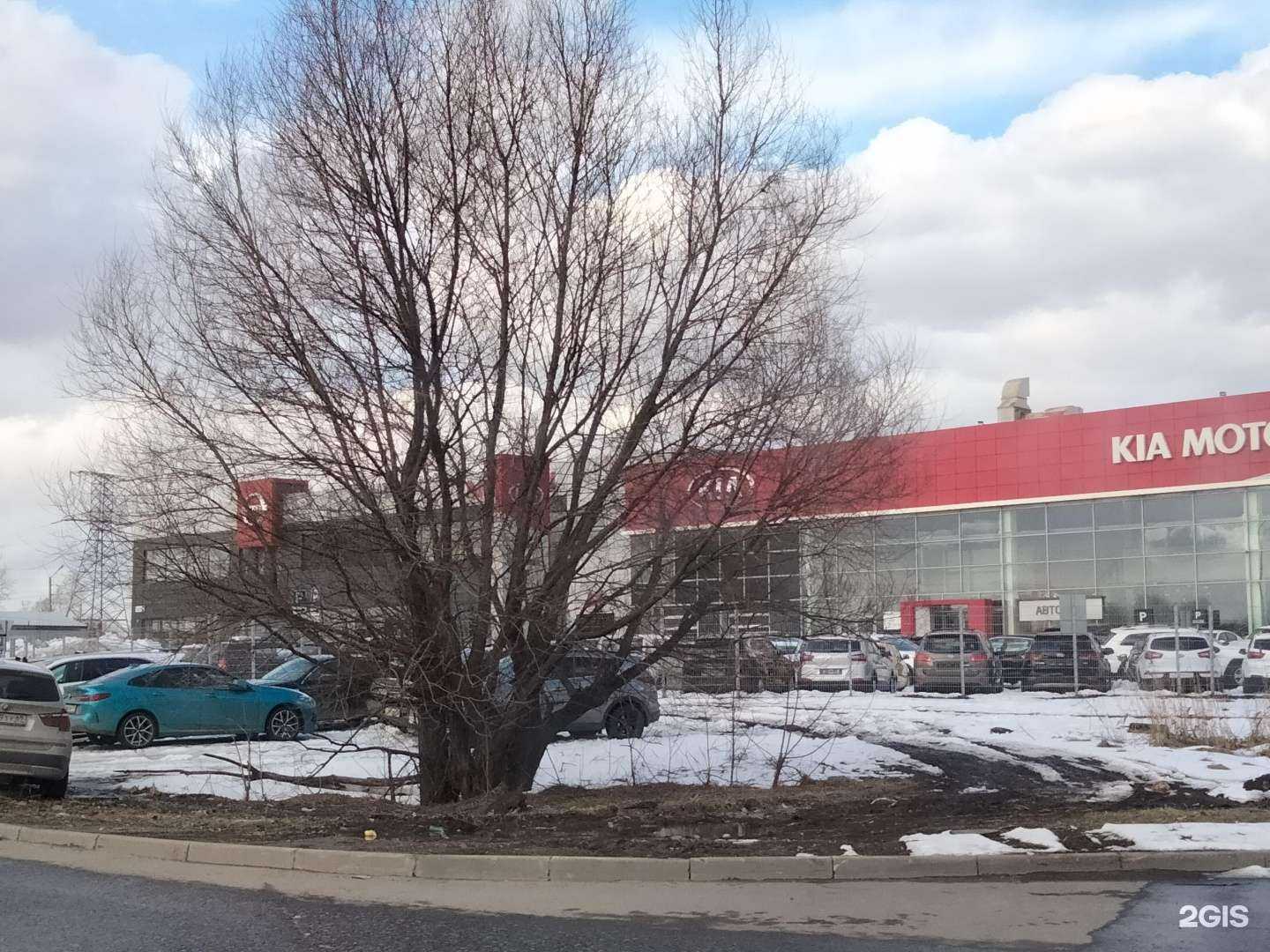 Отзывы на компанию Автомир в Балашихе c фото - фотография 2 из 2