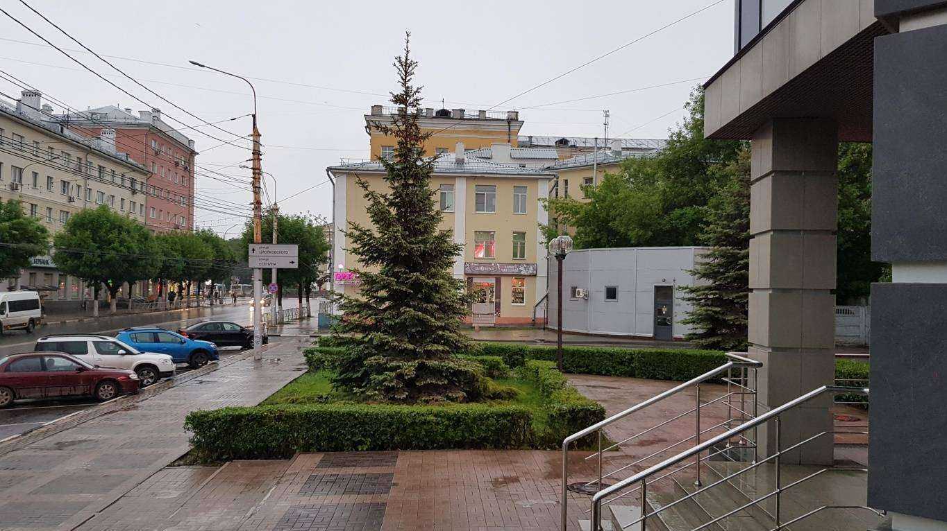 Отзывы на компанию ЦветНик в Рязани c фото - фотография 2 из 2