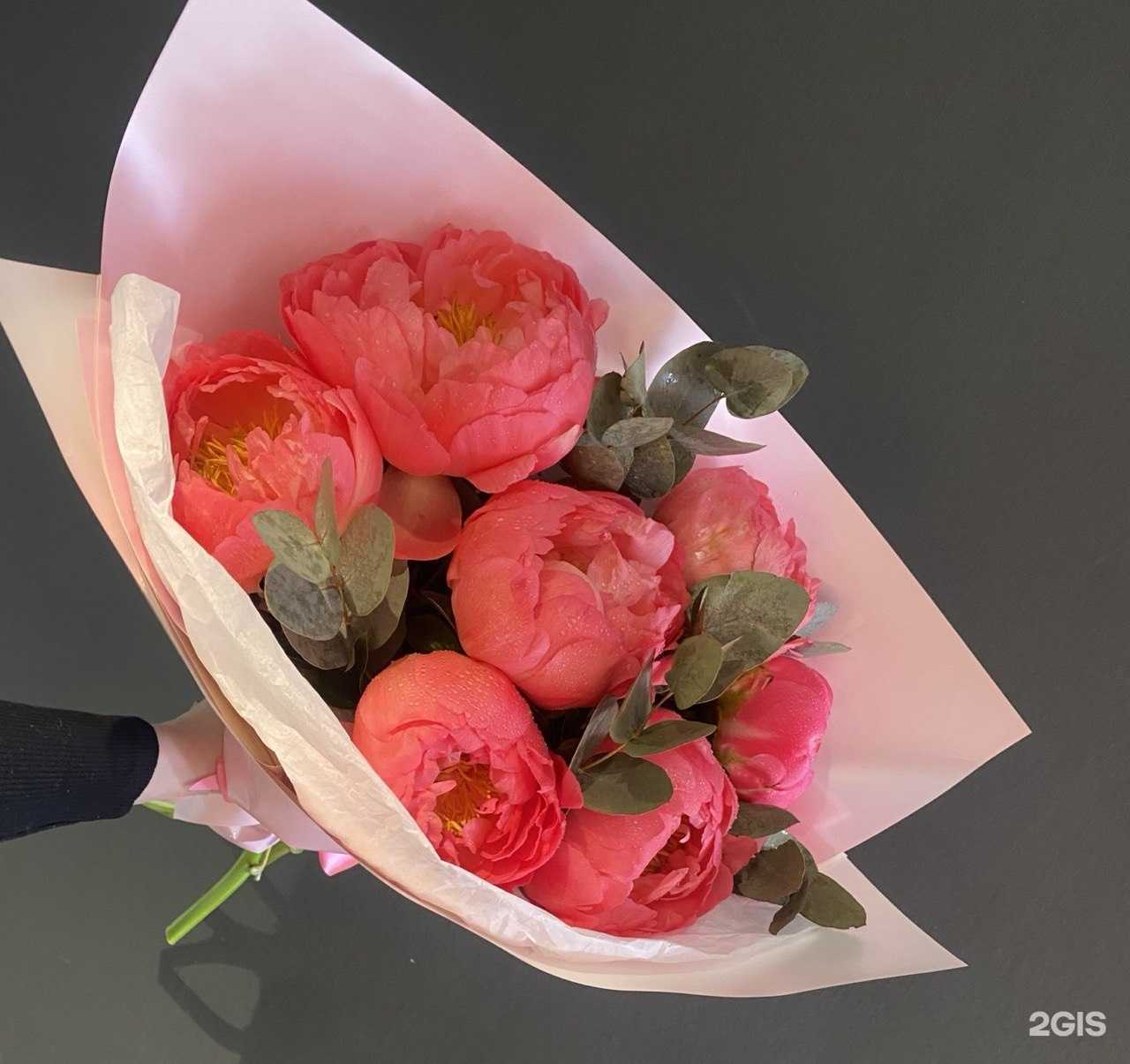 Отзывы на компанию Босс Роз в г. Елизово c фото