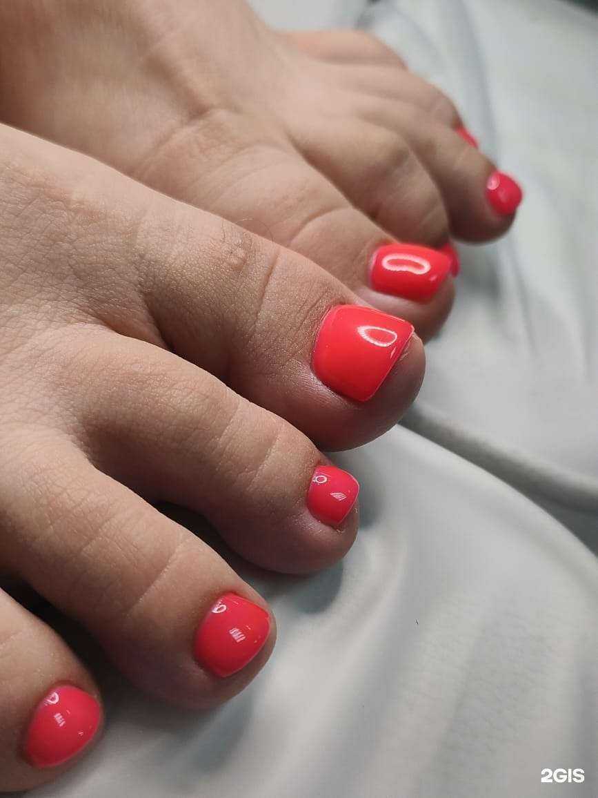 Отзывы на компанию Одуванчик в Туле c фото