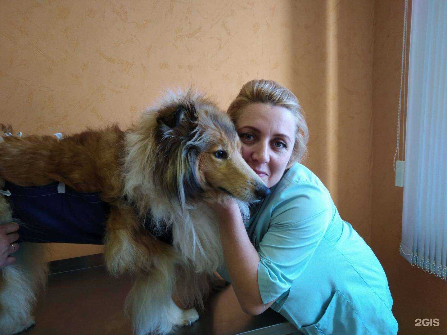 Отзывы на компанию Государственное ветеринарное управление городского округа г. Дзержинск в Дзержинске c фото