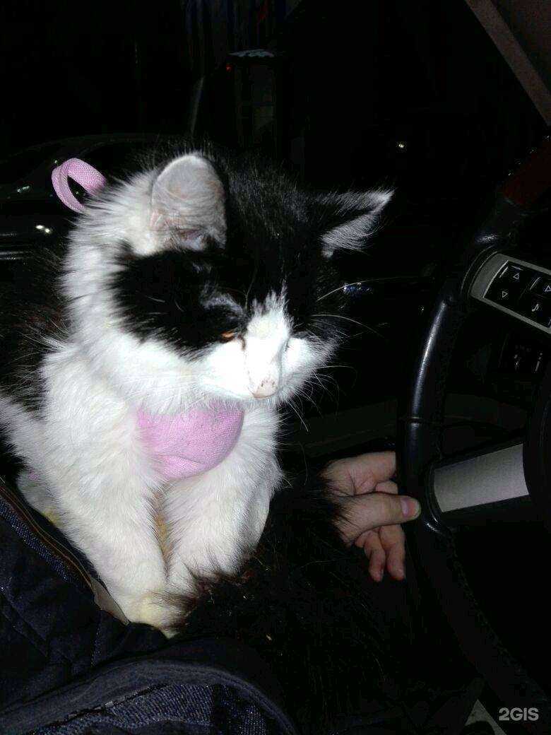 Отзывы на компанию Марта-2000 в Томске c фото