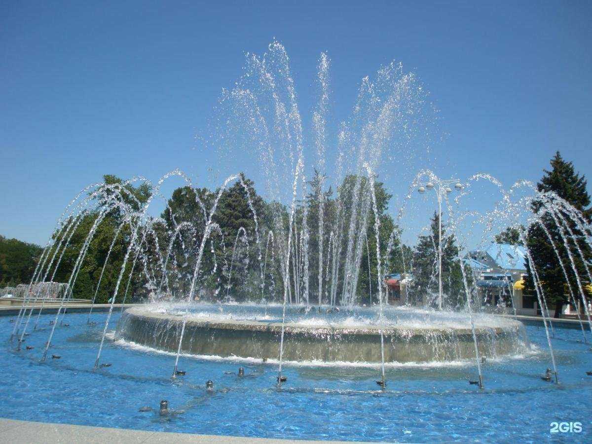 Отзывы на компанию Блум в г. Анапа c фото