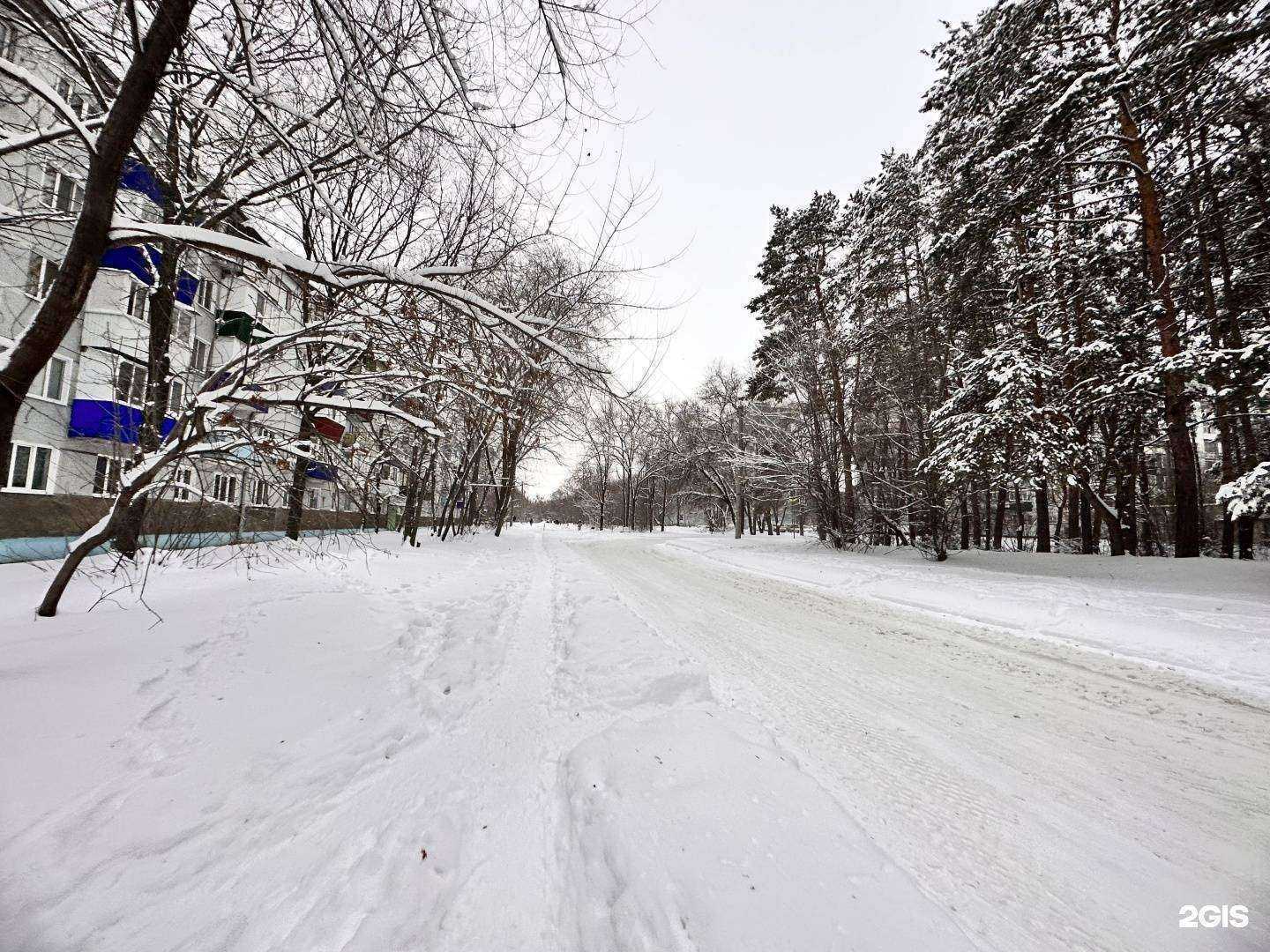Отзывы на компанию Selena в г. Сызрань c фото