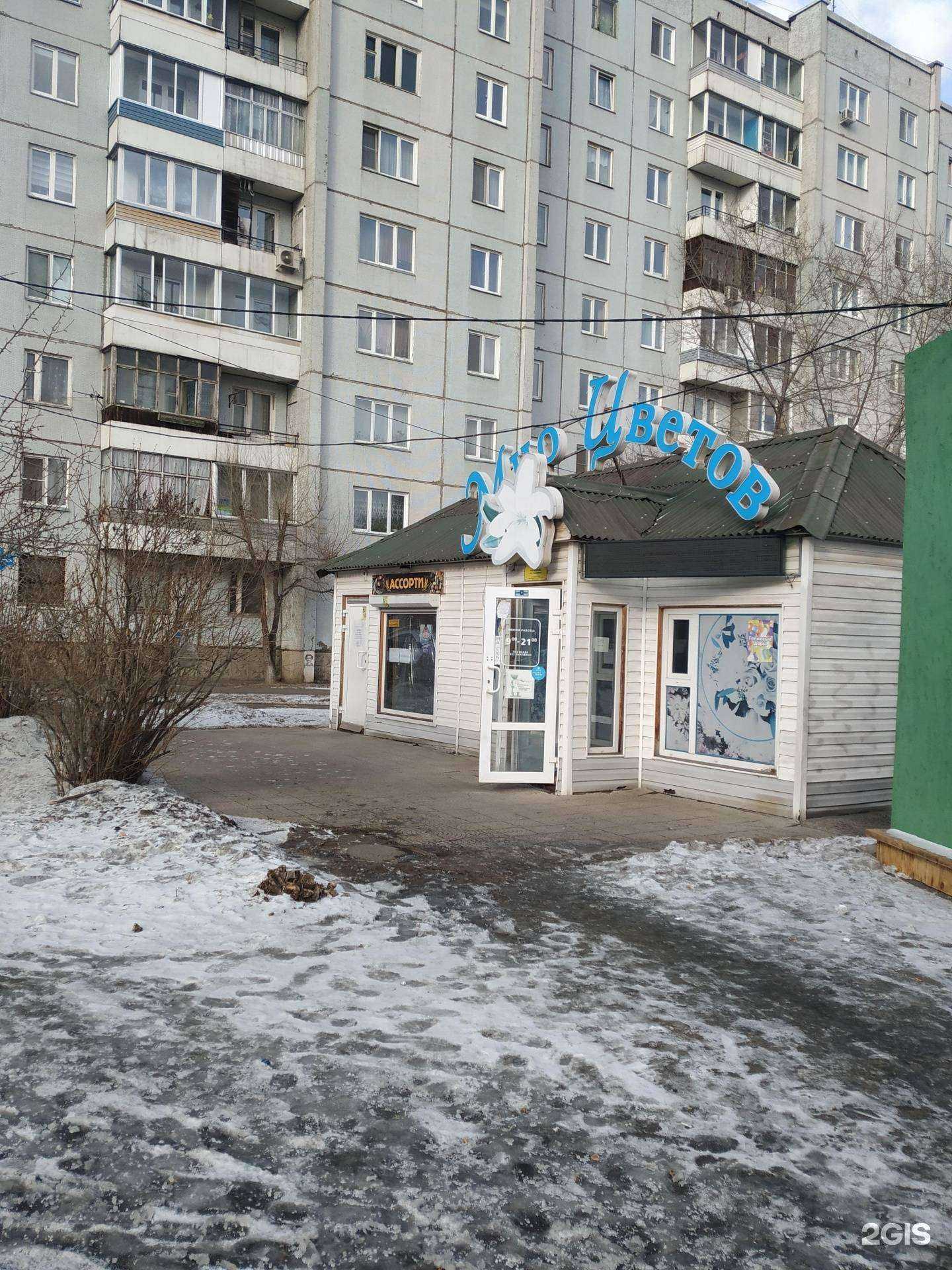 Отзывы на компанию Мир цветов в Красноярске c фото - фотография 2 из 2