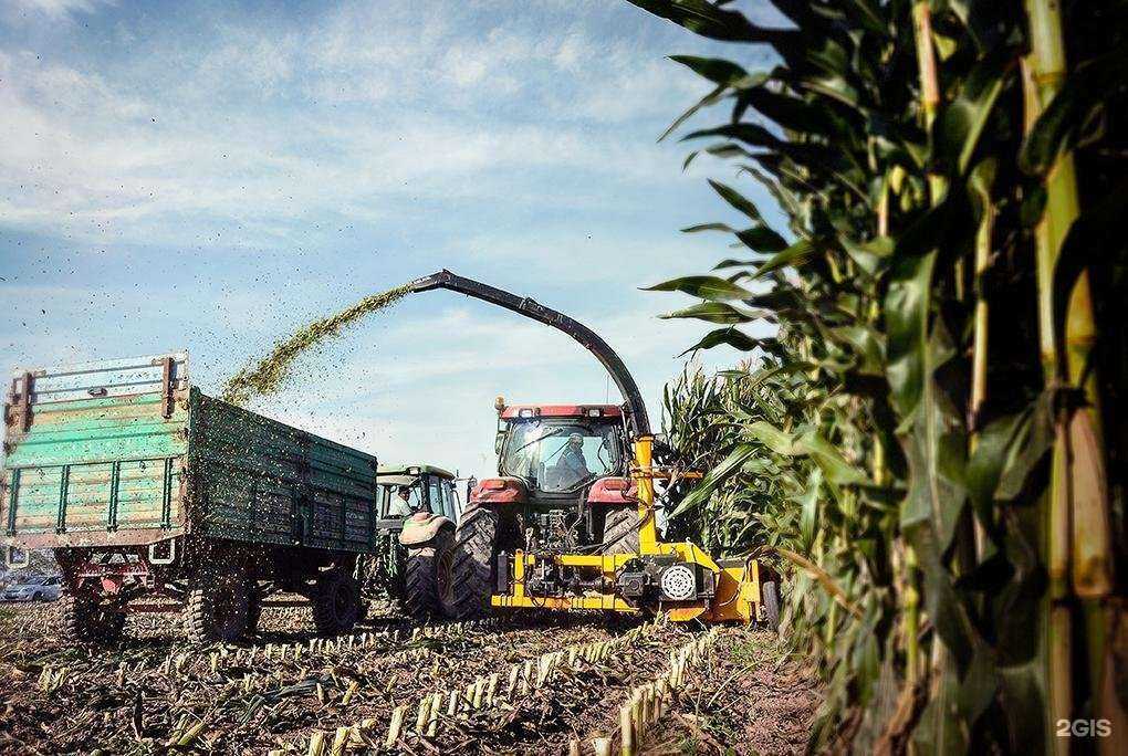 Отзывы на компанию BaitekMachinery в г. Сургут c фото