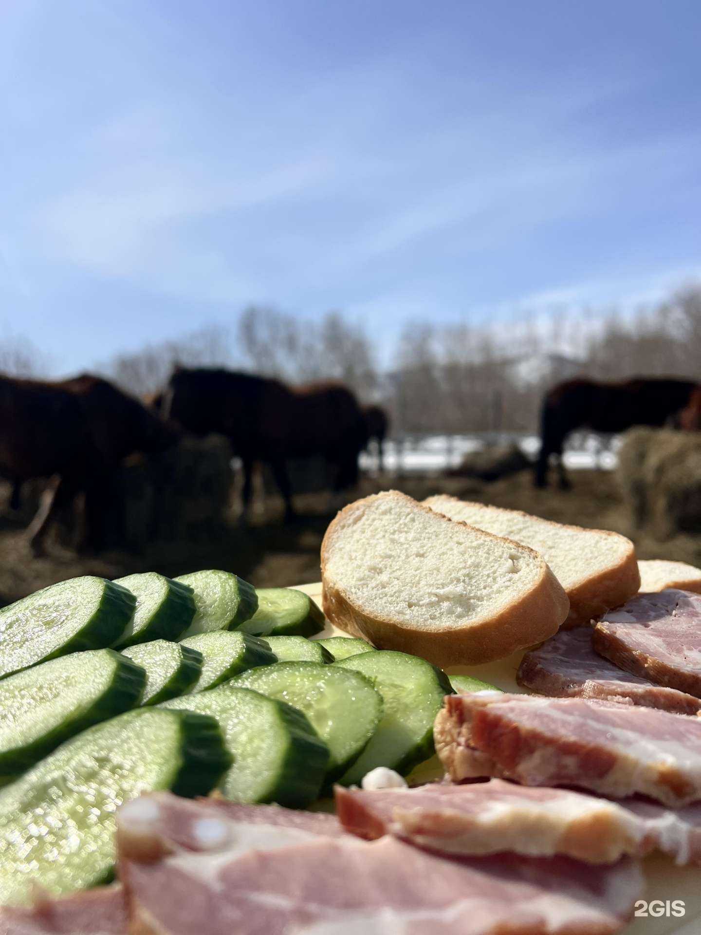 Отзывы на компанию Лошади Камчатки в г. Петропавловск-Камчатский c фото