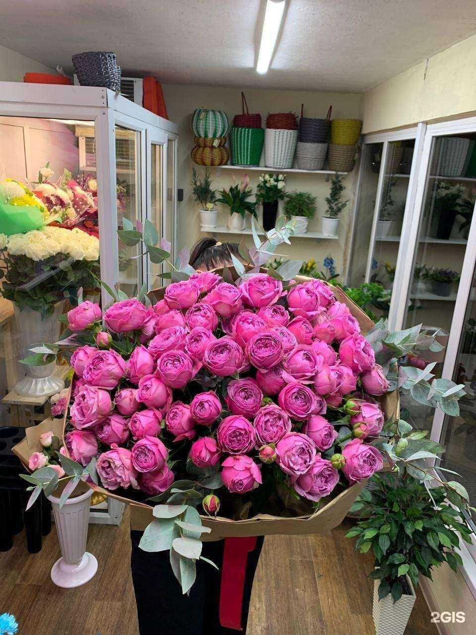 Отзывы на компанию Agnessa в г. Саратов c фото