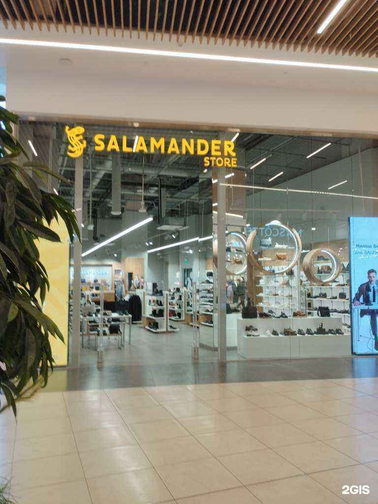 Отзывы на компанию Salamander в г. Екатеринбург c фото