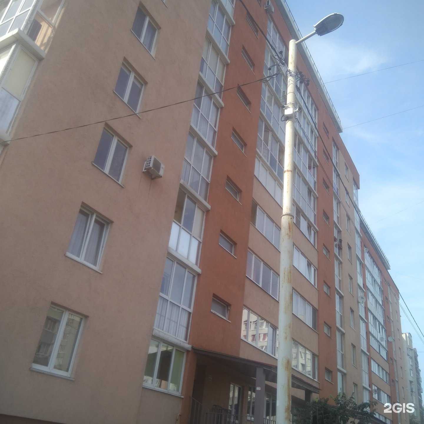 Отзывы на компанию КотоПёс в г. Калининград c фото