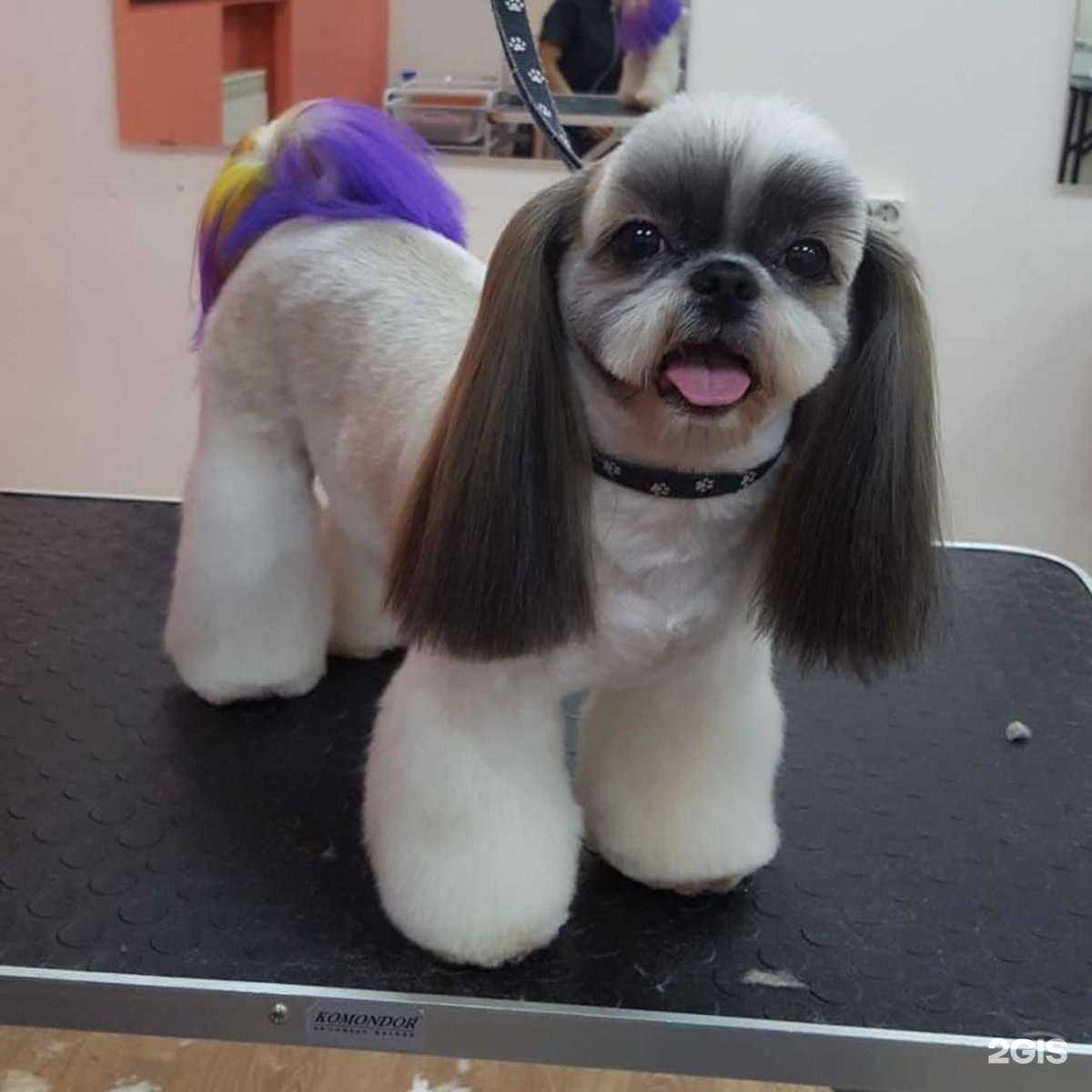 Отзывы на компанию GROOM в Екатеринбурге c фото