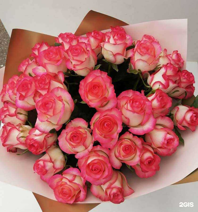 Отзывы на компанию Дом Роз в г. Орехово-Зуево c фото