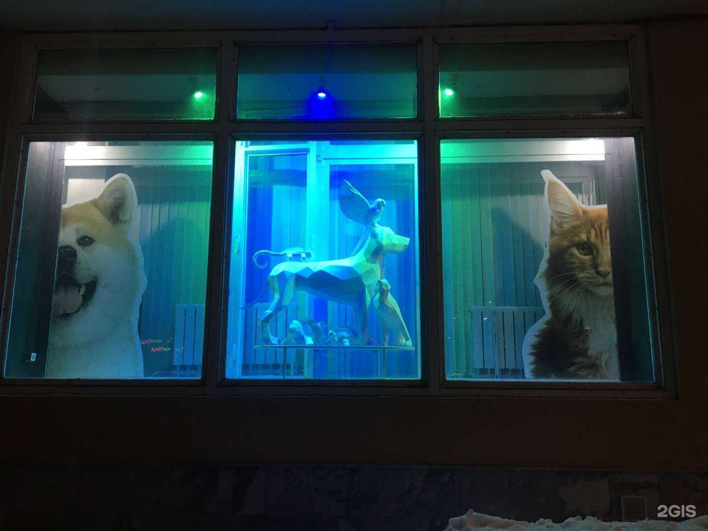 Отзывы на компанию СитиВет12 в г. Йошкар-Ола c фото