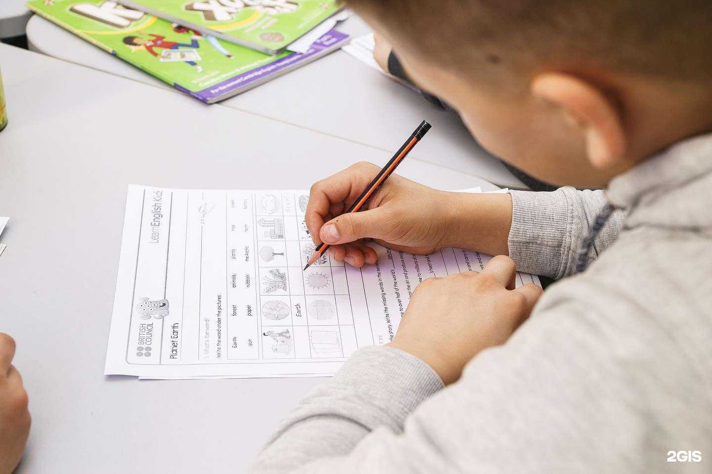 Отзывы на компанию Skillbridge в г. Тула c фото