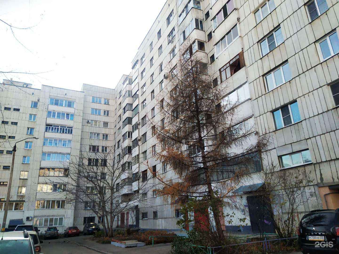 Отзывы на компанию Студия парикмахерского искусства Елены Шаптала в Барнауле c фото - фотография 2 из 2