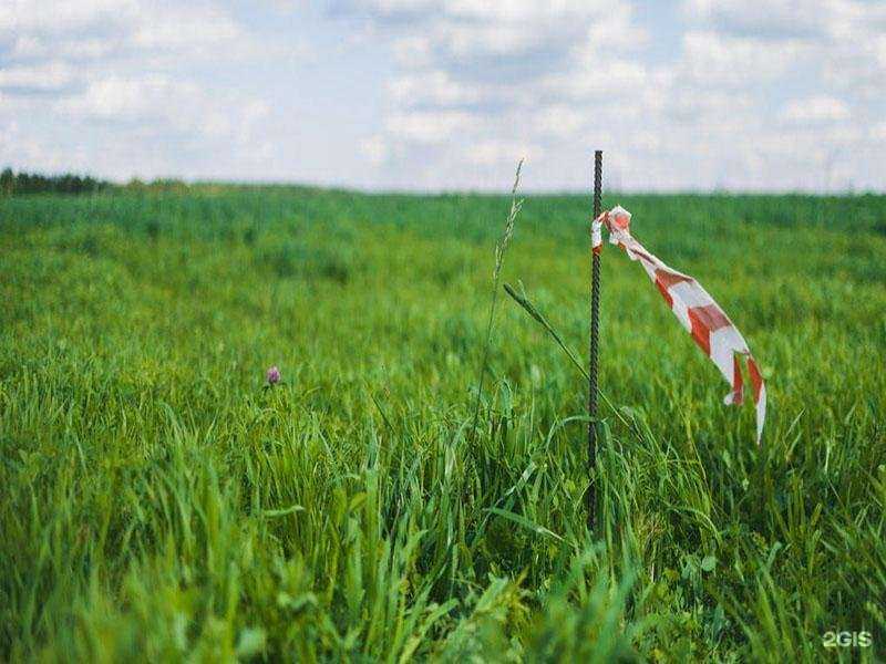 Отзывы на компанию Проектно-геодезическая компания в Верхней Салде c фото