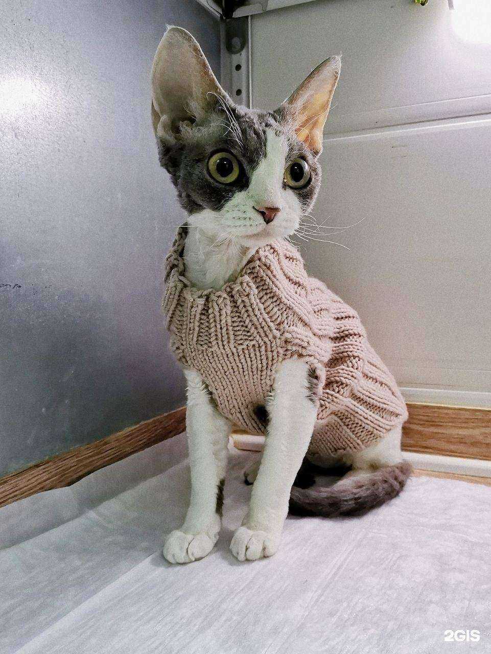 Отзывы на компанию Эксперт в Воронеже c фото