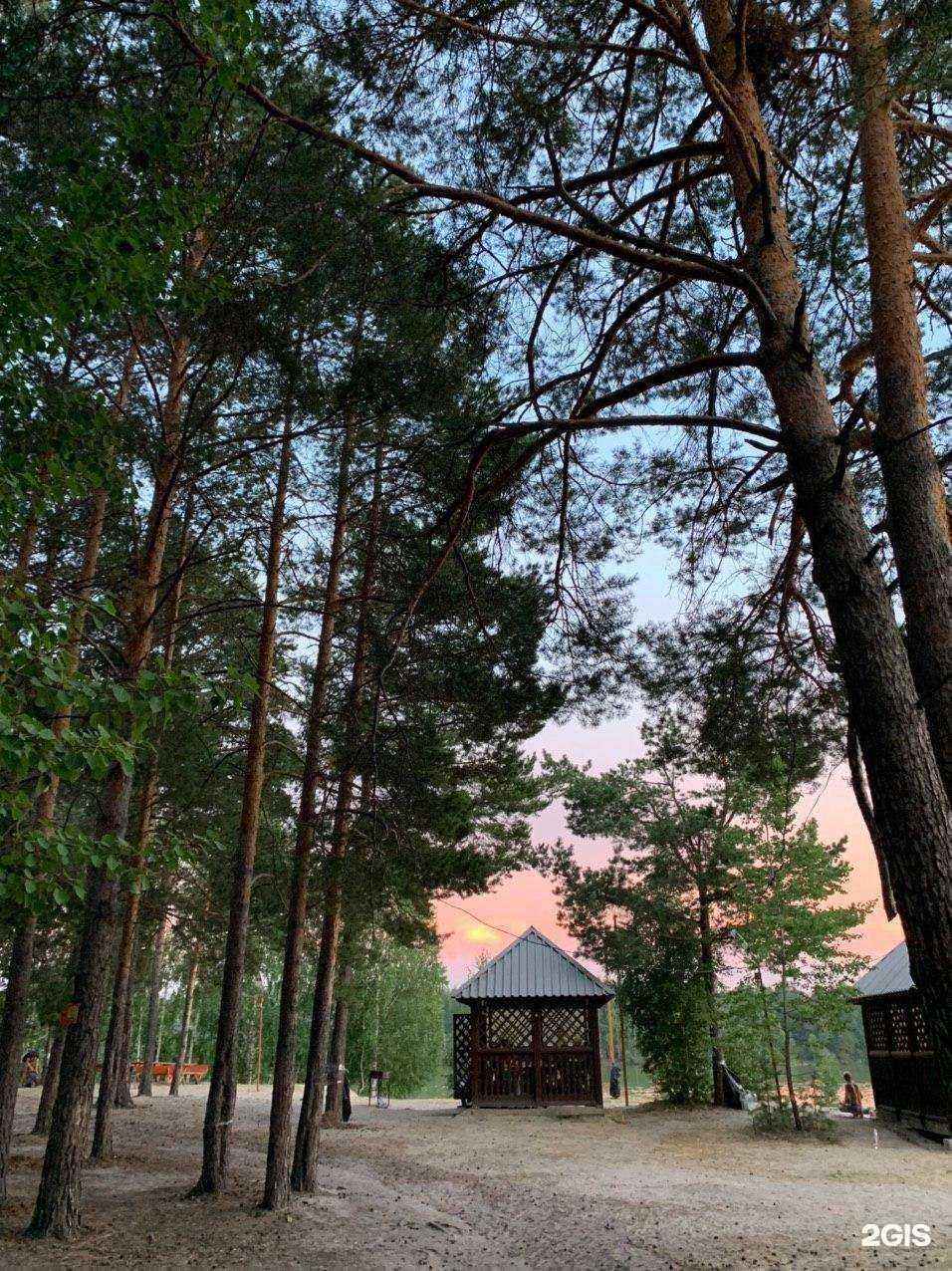 Отзывы на компанию Пруд лесной в г. Тюмень c фото