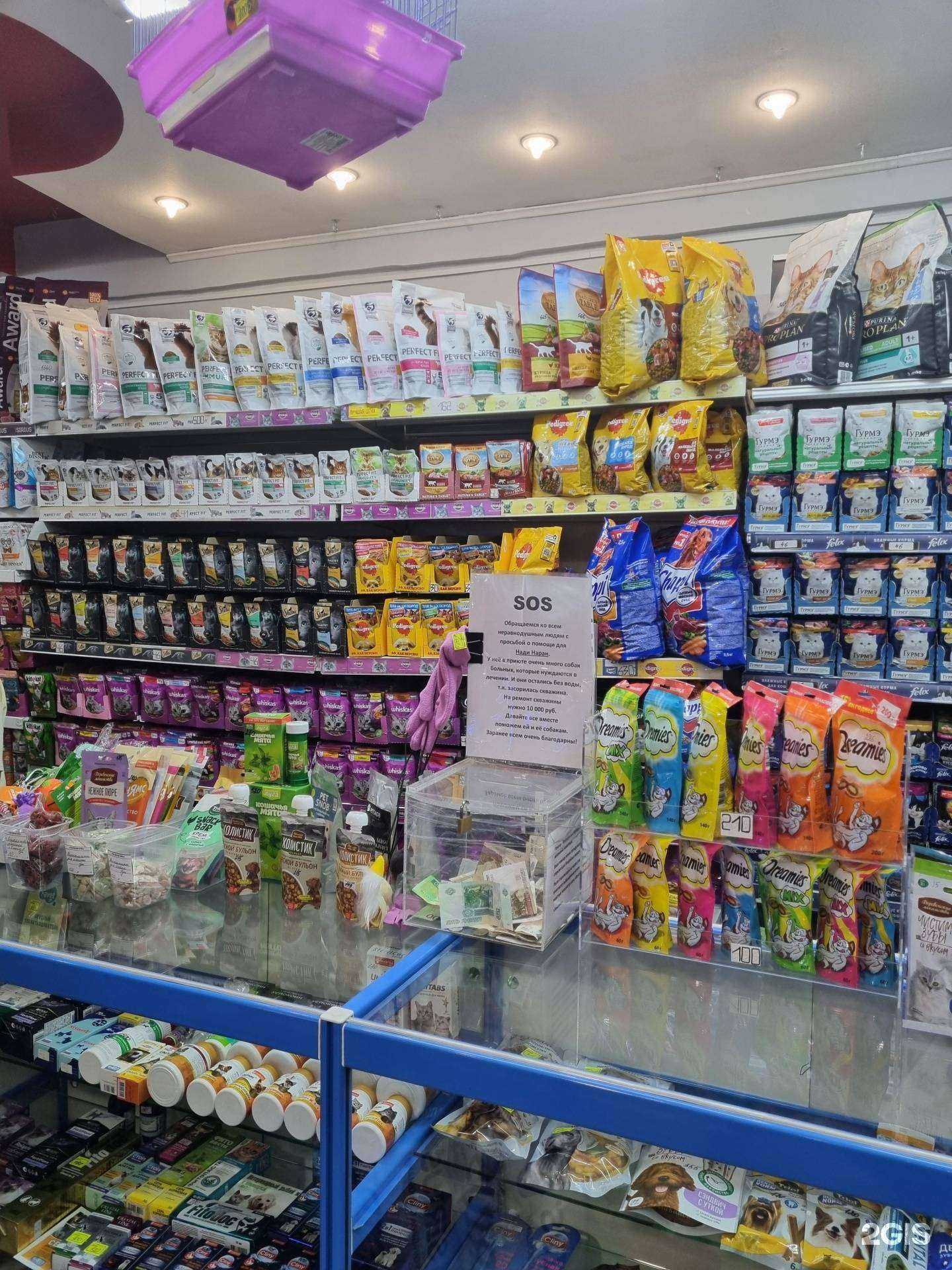 Отзывы на компанию Любимчик в Иркутске c фото