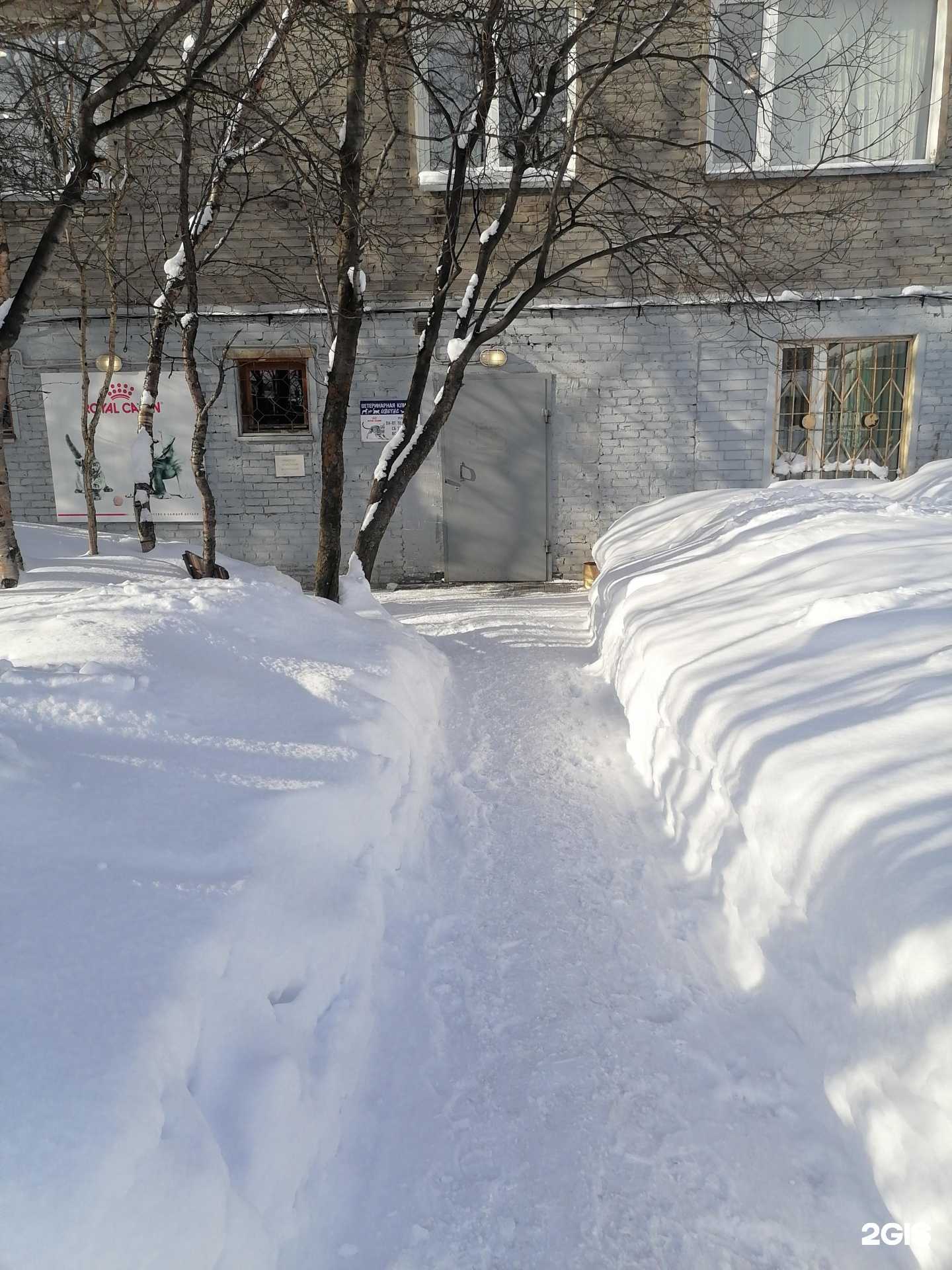 Отзывы на компанию Иветас в г. Мурманск c фото